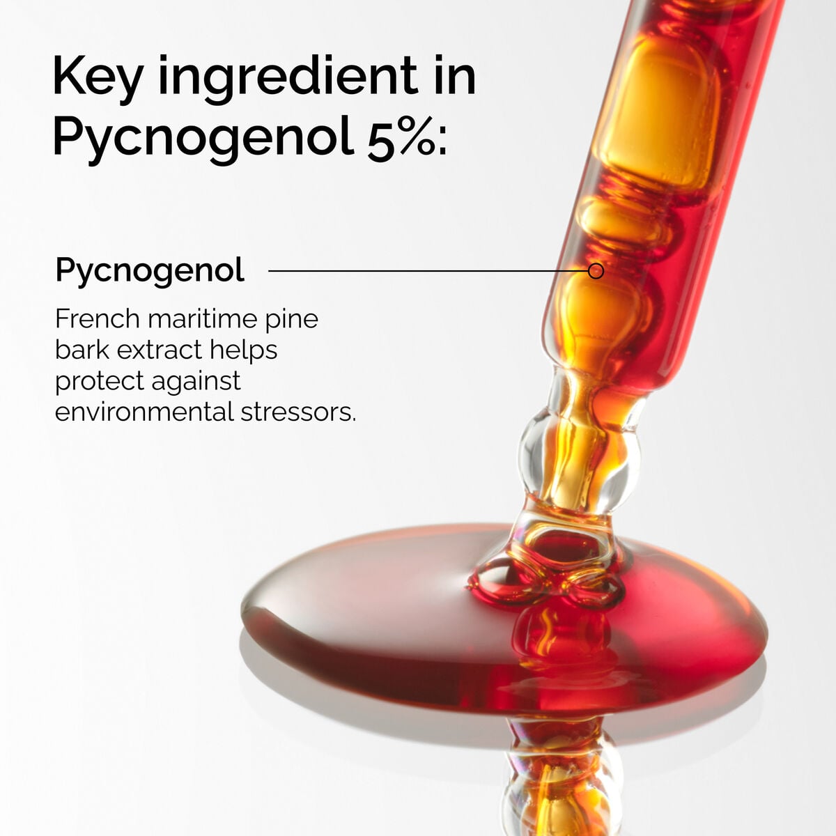 pycnogenol-5-i0 FY25-D41247-ORD-Web-PDP-Pyc-5pct-1x1-EN-2a.jpg