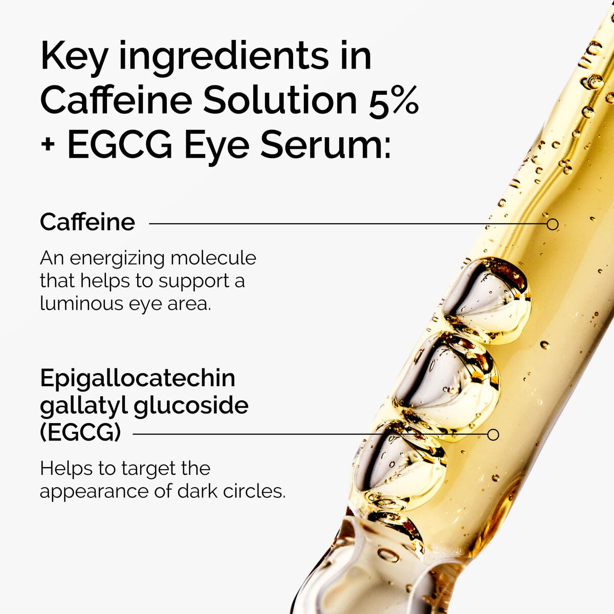caffeine-solution-5-egcg-eye-serum-g2 ord-caffeine-5pct-egcg-eye-serum-key-ingredients-updated-graphic.jpg