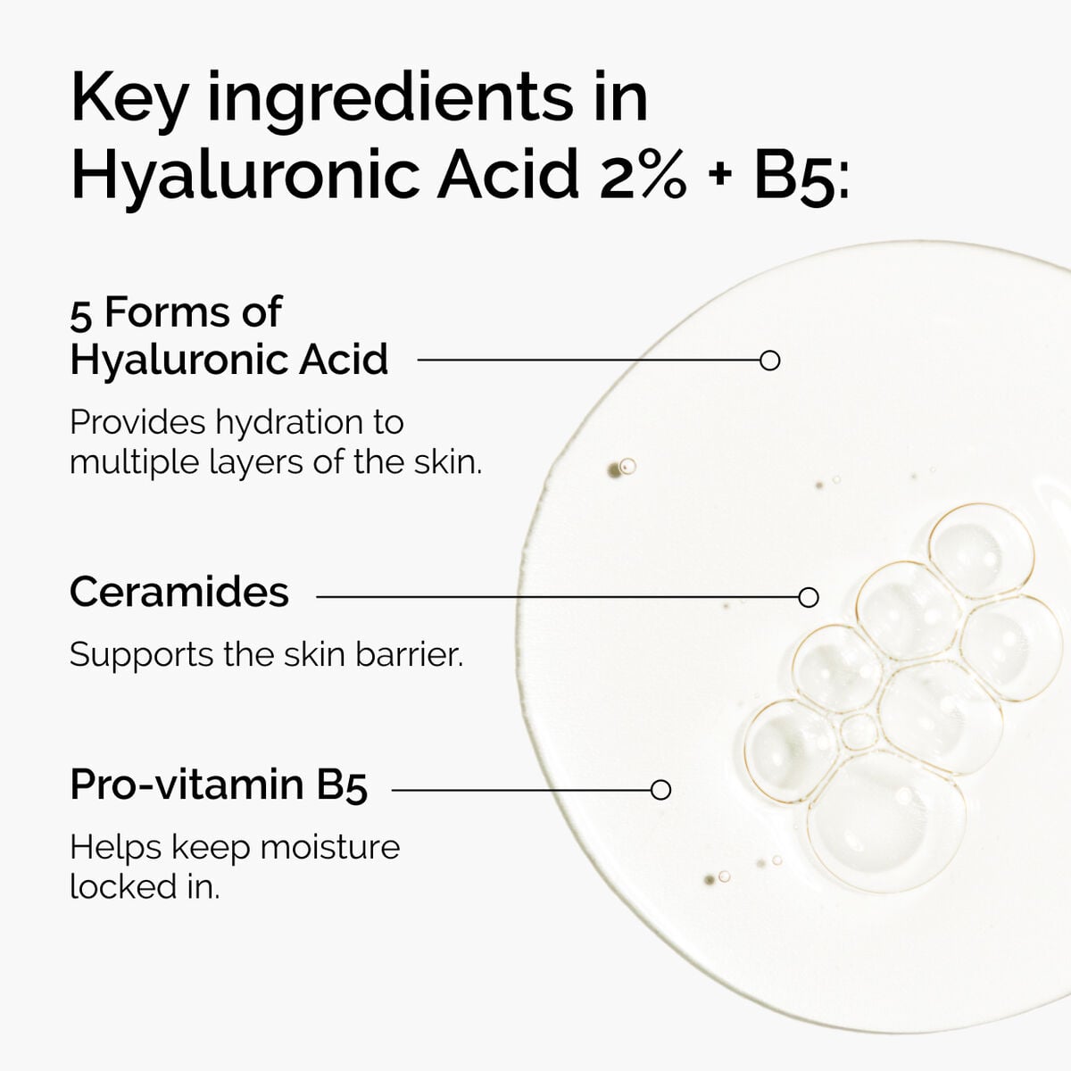 hyaluronic-acid-2-b5-with-ceramides-v7 ord-hyaluronic-acid-2pct-b5-hydrating-serum-ingredients-graphic.jpg